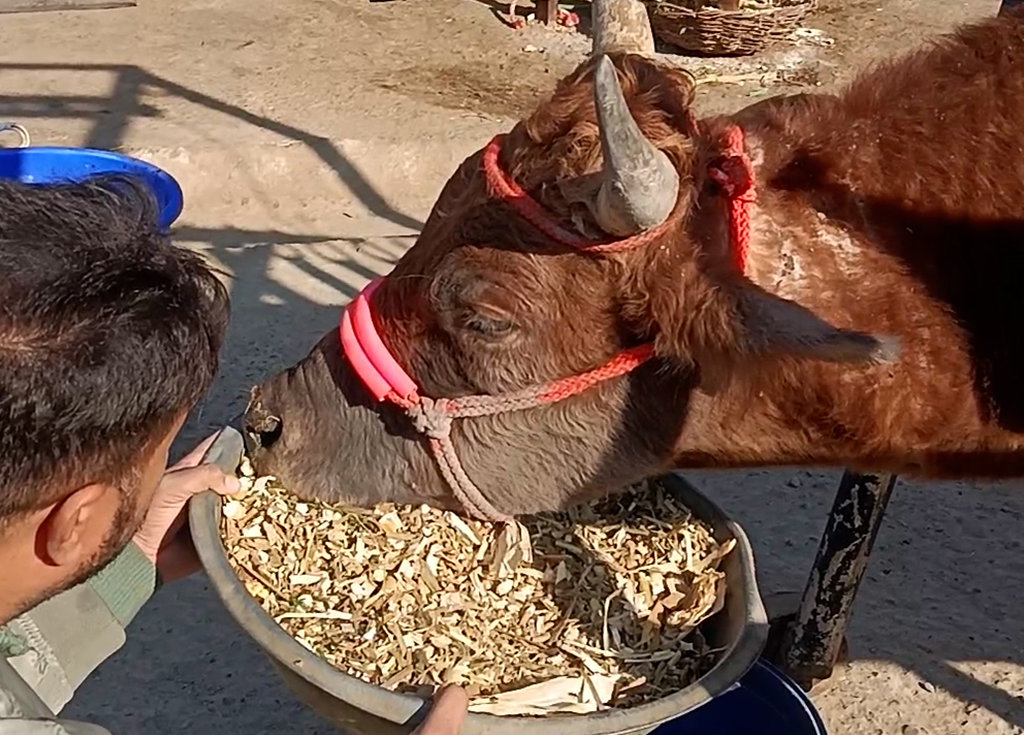 Radha Madhav Sewa Kunj 