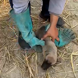 Radha Madhav Sewa Kunj 