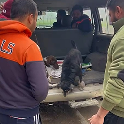 Radha Madhav Sewa Kunj 