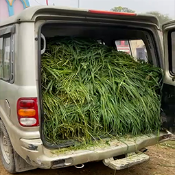 Radha Madhav Sewa Kunj 