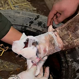 Radha Madhav Sewa Kunj 