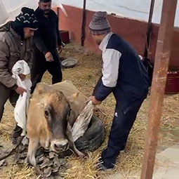 Radha Madhav Sewa Kunj 