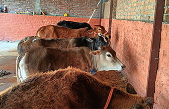 Radha Madhav Sewa Kunj 