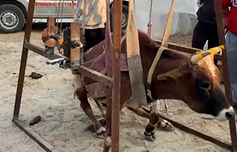 Radha Madhav Sewa Kunj 