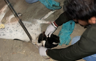 Radha Madhav Sewa Kunj 